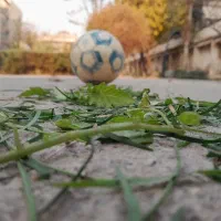 توپ|ورزش‌های توپی|تهران, اقدسیه|دیوار