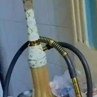 قیلیون عربی نو|کلکسیون و سرگرمی|یاسوج, |دیوار