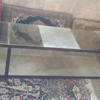 اکواریوم|ماهی|همدان, |دیوار