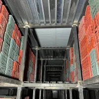 سبد پلاستیکی میوه