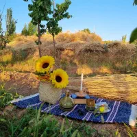 زمین مسکونی و باغ فروشی در شهر زیبای برزک