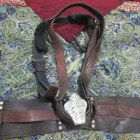 هیکلی علم