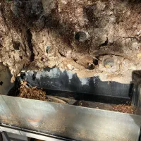 تانک پالوداریوم ، اکواریوم