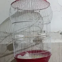 قفس پرنده زینتی