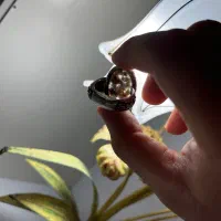 انگشتر شجر دریایی|جواهرات|اردبیل, |دیوار