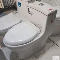 فرنگی کارن کاتیا