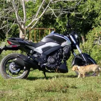 دومینار ۲۵۰ درحدصفر کارخانه باجاج ns 1404