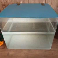 آکواریوم شیشه خم