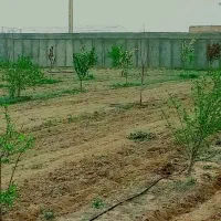 ۱۲۰۰ متر باغ