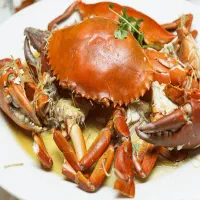 راهنمایی خرچنگ