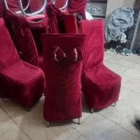 تعداد ۶۰ عدد صندلی با کاور مخمل ب فروش میرسد
