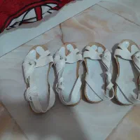 دو جفت کفش زیبا و راحت ۵۰۰ سایز های ۳۸ ‌و ۴۰