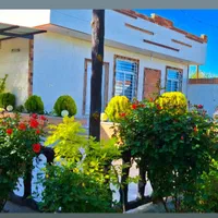 اجاره باغ مهریز|اجارهٔ کوتاه‌مدت ویلا و باغ|مهریز, |دیوار