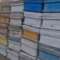 کندو و طبق دست دوم زنبور عسل|لوازم جانبی حیوانات|تایباد, |دیوار