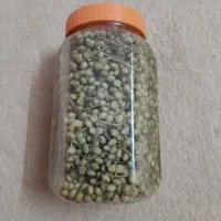 ترشی بنه تازه