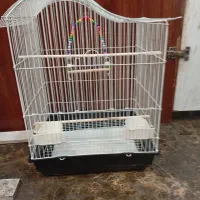 2تاقفس پرنده یدونه نوویکی استفاده شده