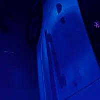 تشخیص رنگ خودرو و دیتیلینگ|خدمات موتور و ماشین|لاهیجان, لیالستان|دیوار