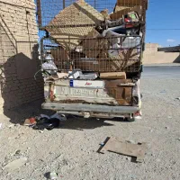 وانت پیکان مدل ۶۲ در حال کار|خودرو سواری و وانت|مهریز, |دیوار