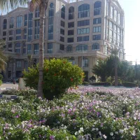 دفتراداری ۱۱۰ متر ،اخذ دومجوز،بهترین لوکیشن جزیره