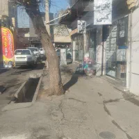 مغازه-تجاری