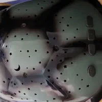 لاکپشت شب خواب