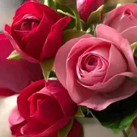 انجام خدمات آرایشی و زیبایی