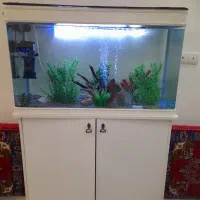 آکواریوم شیشه خم با پایه با تمام وسایل|لوازم جانبی حیوانات|یونسی, |دیوار