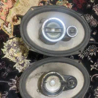 قناری جفت باند۷۱۸|پرنده|کرمان, |دیوار