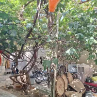 ویلایی کلنگی خیابان سجاد