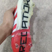 استوک پرداتور بلینگام|کیف، کفش، کمربند|نقده, |دیوار