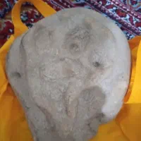 فسیل نادروخاص