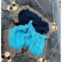 سیسمونی و آغوشی