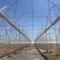 گلخانه ۸۰۰۰|عمده‌فروشی|ورامین, ورامین|دیوار