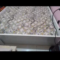 تخت|تخت و سرویس خواب|مشهد, هفت تیر (نه دره)|دیوار