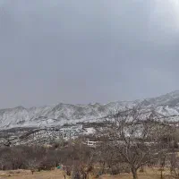 زمین-مسکونی-شهمیرزاد