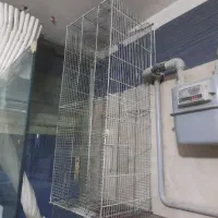 قفس جوجه پرون