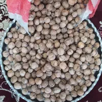 گردو نهال|خوردنی و آشامیدنی|جوانرود, |دیوار