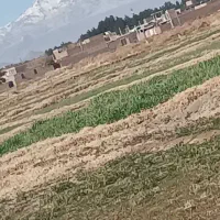 فروش « فوری » زمین مسکونی