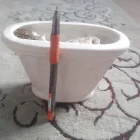 گلدان بزرگ سالم|گل و گیاه طبیعی|قرچک, داوود آباد|دیوار