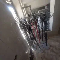 فایل فلزی و چوبی و چوب لباسی دوچرخه چادر ماشین ۲۰۶|دفتر کار|لیکک, |دیوار