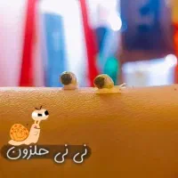 حلزون