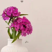 کار در منزل با تلفن همراه