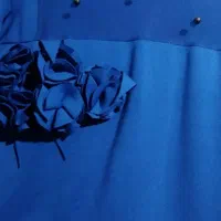 یک عددلباس مجلسی|لباس|بندر انزلی, کارآموزی|دیوار