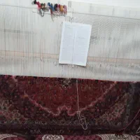 فرش زرنیم نیمه کاره