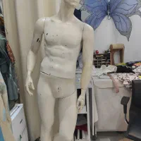 مانکن مردانه