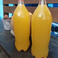 اب نارنج بهترین کیفیت و ارگانیک