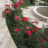 ویلا باغ فول لاکچری دوخواب|فروش خانه و ویلا|گلبهار, نوبهار|دیوار
