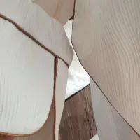 مانتو سایز بزرگ ۵۰تا۵۸|لباس|تربت جام, والفجر|دیوار
