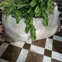 اسفناج تازه