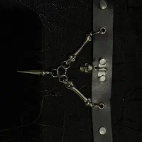 گردنبند . چوکر|بدلیجات|کرمان, |دیوار